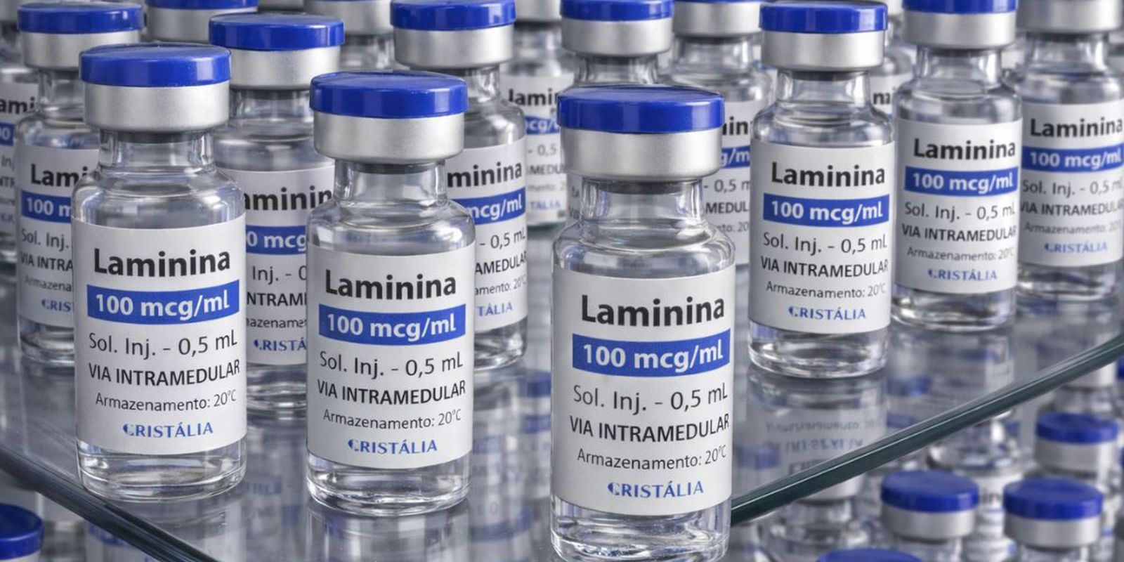 Testes clínicos fase 1 da polilaminina começam este mês