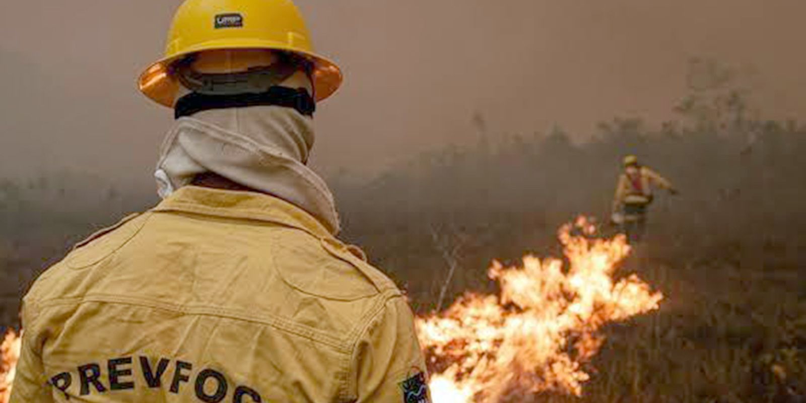 Ibama apaga 229 incêndios no Amazonas e segue no combate ao fogo