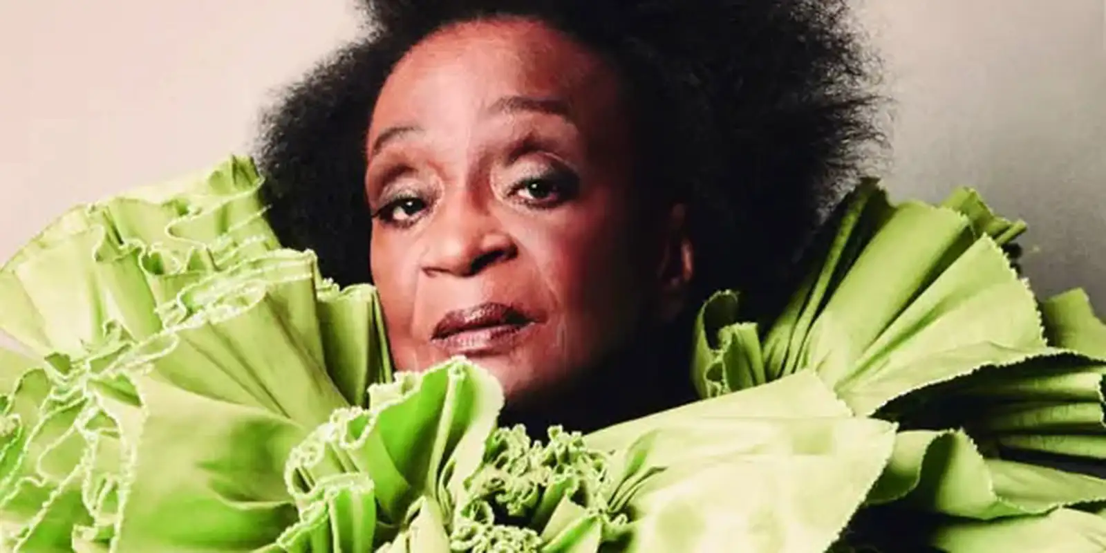 Nove escolas se apresentam neste sábado no Desfile das Campeãs de SP