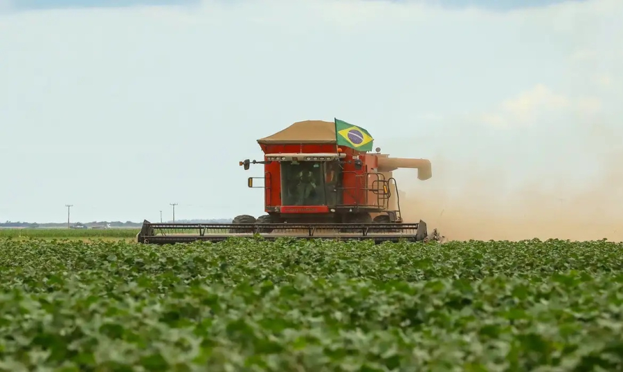 Agro cresce 11,7%, impulsiona PIB e ganha participação na economia