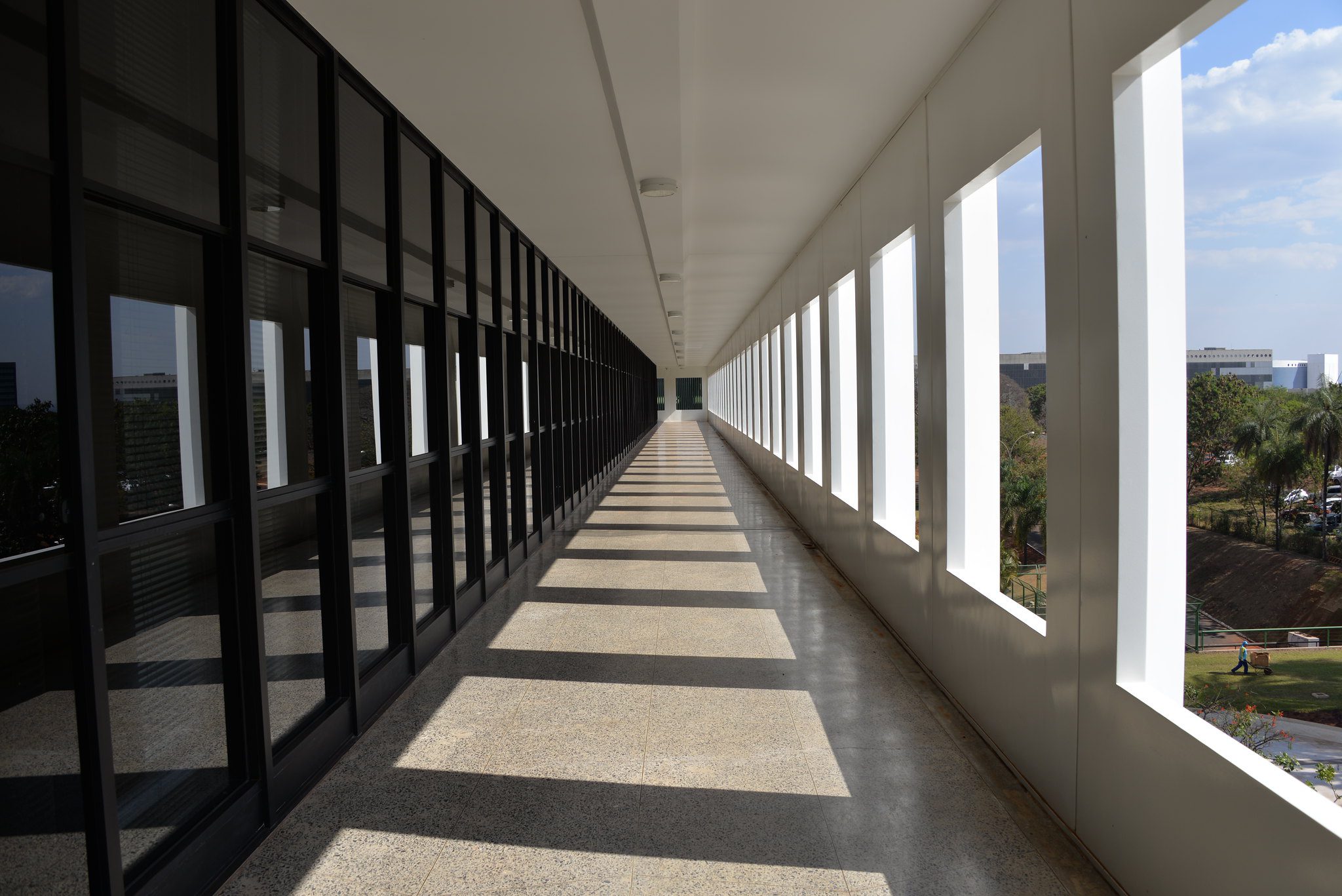 O TCU e a nova Lei de Licitações