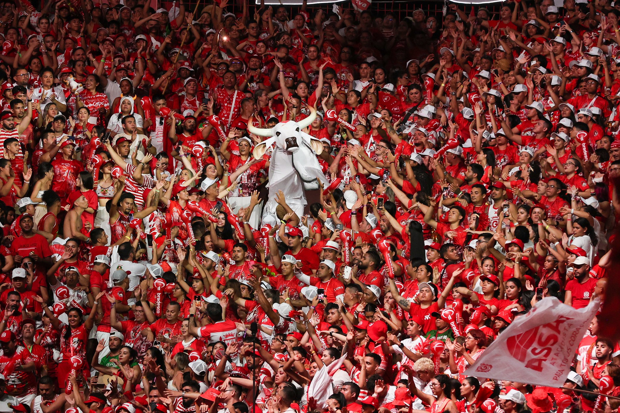 Boi Garantido lança álbum 2026 e anuncia nova Sinhazinha neste sábado em Parintins