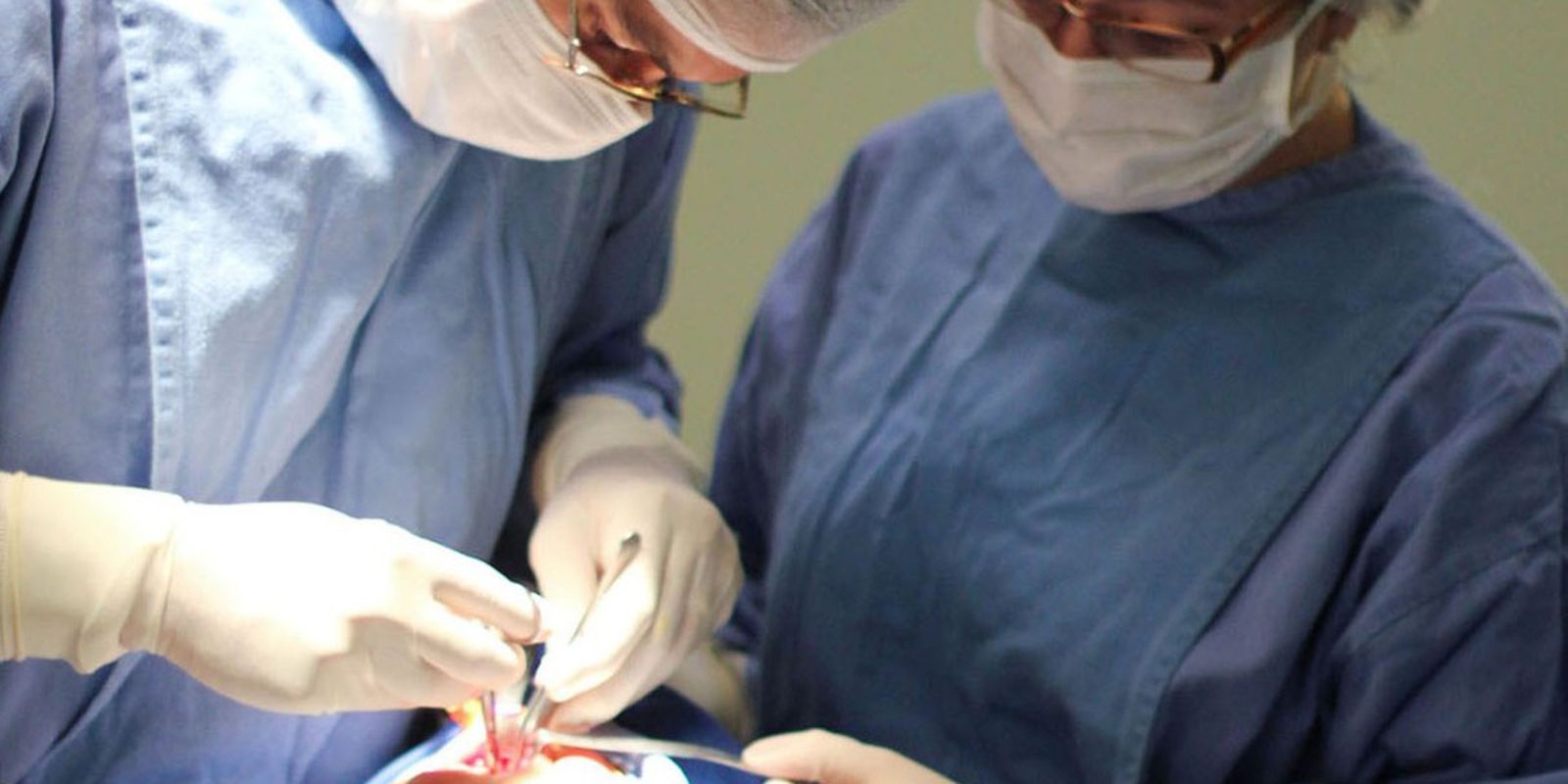 Tratamento 'labiopalatino' deve ser precoce