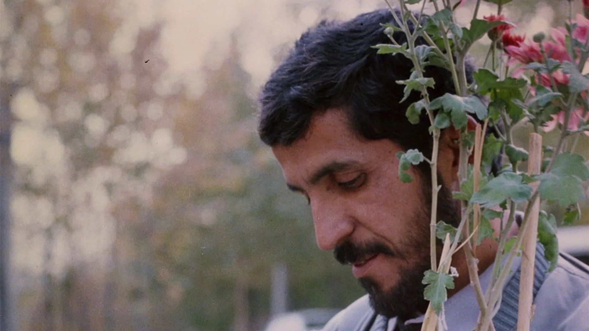 Abbas Kiarostami ganha retrospectiva no IMS Paulista com filmes restaurados e curtas raros